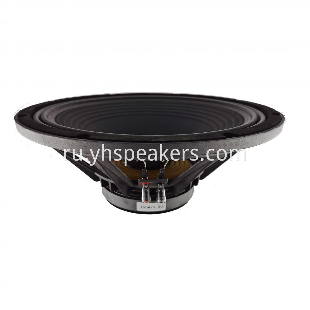 Professional Audio 15 Inch Loudspeaker